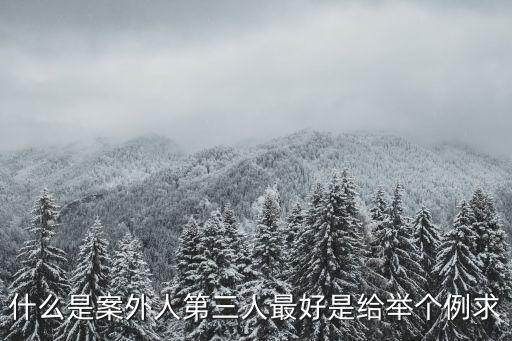 案外人，何為案外人案外人與利害關(guān)系人的區(qū)別