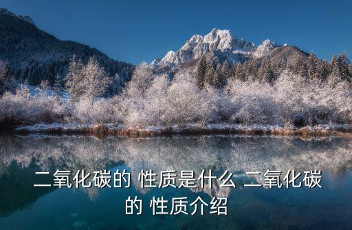 二氧化碳的性質,二氧化碳是無色無味液體