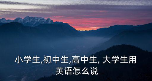 小學生,初中生,高中生, 大學生用 英語怎么說