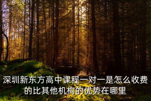 深圳新東方高中課程一對一是怎么收費的比其他機構的優勢在哪里