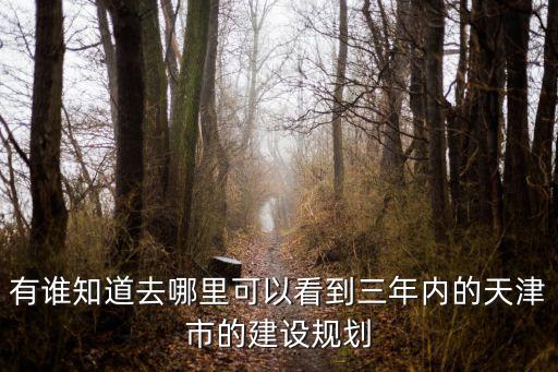 有誰知道去哪里可以看到三年內的天津市的建設規劃
