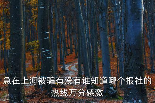 急在上海被騙有沒有誰知道哪個報社的熱線萬分感激