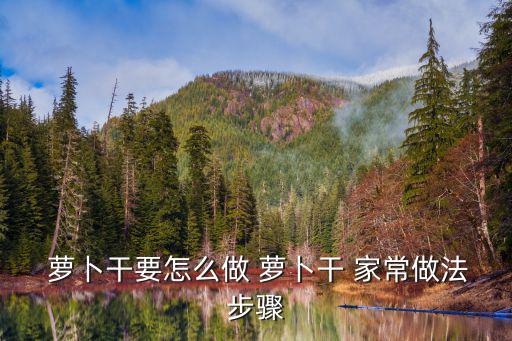 蘿卜干的家常做法,自制蘿卜干法1準備好蘿卜和調料