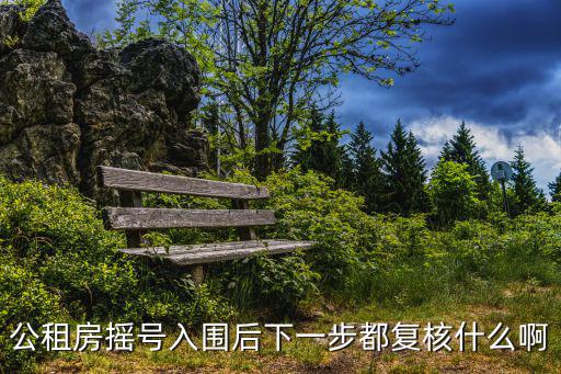 公租房搖號入圍后下一步都復(fù)核什么啊