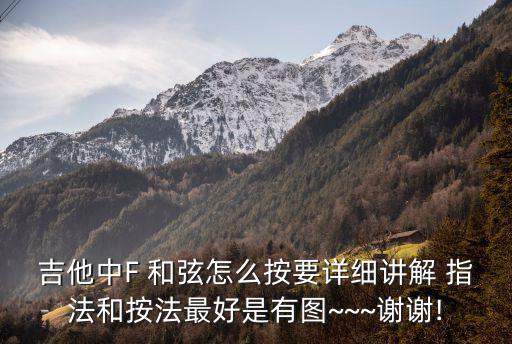 吉他中F 和弦怎么按要詳細講解 指法和按法最好是有圖~~~謝謝!