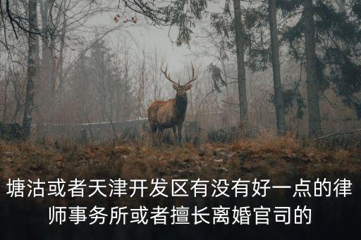 塘沽或者天津開發區有沒有好一點的律師事務所或者擅長離婚官司的