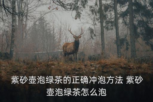  紫砂壺泡綠茶的正確沖泡方法 紫砂壺泡綠茶怎么泡