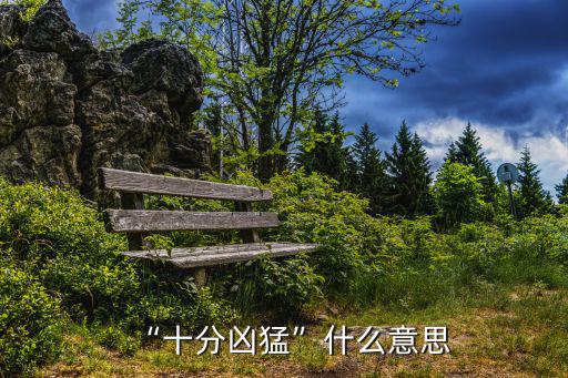 兇悍的意思,兇猛有力；早就應(yīng)該有幾個勇士