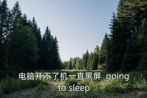 電腦開不了機一直黑屏  going to sleep