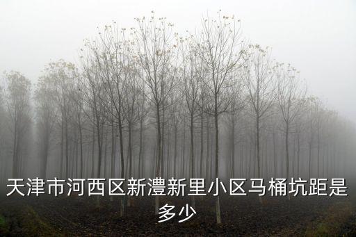 天津市河西區(qū)新澧新里小區(qū)馬桶坑距是多少