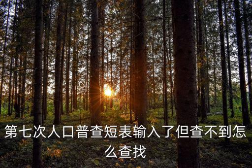 第七次人口普查短表輸入了但查不到怎么查找