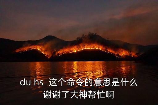du hs  這個命令的意思是什么謝謝了大神幫忙啊