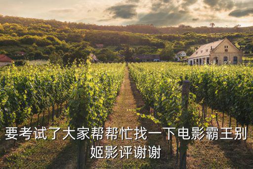 霸王別姬觀后感，霸王別姬影評怎么寫