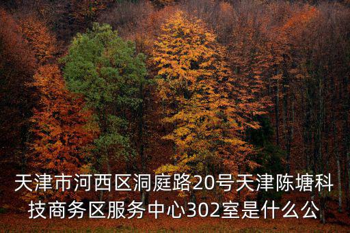 天津市河西區洞庭路20號天津陳塘科技商務區服務中心302室是什么公