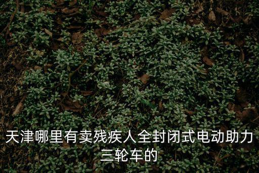 天津市殘疾人車有 助嗎，在天津三級殘疾有什么乘車優(yōu)惠政策