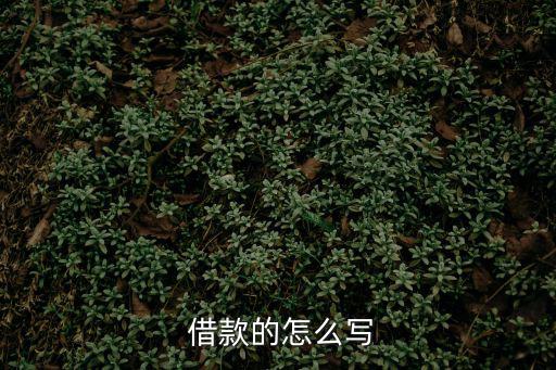  借款的怎么寫