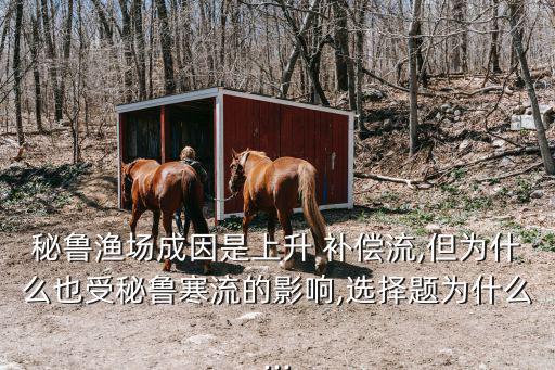 上升補償流,南大洋補償效應最大的區域之一