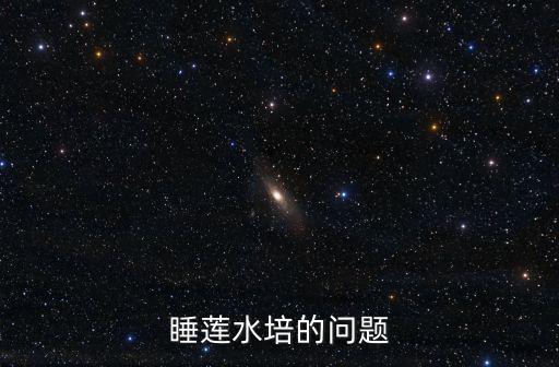 睡蓮水培的問題