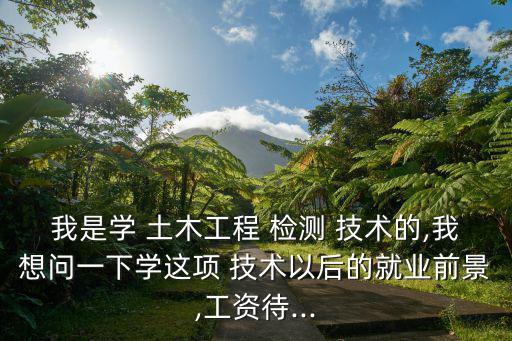 我是學 土木工程 檢測 技術的,我想問一下學這項 技術以后的就業前景,工資待...