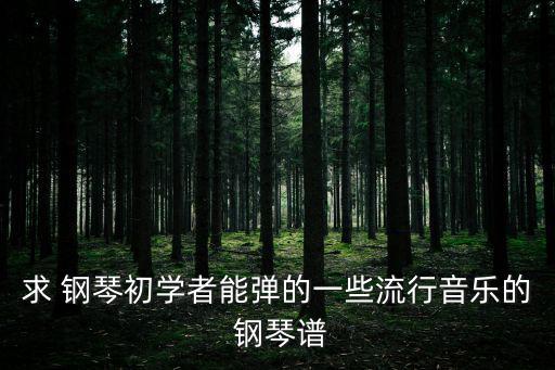 求 鋼琴初學者能彈的一些流行音樂的 鋼琴譜