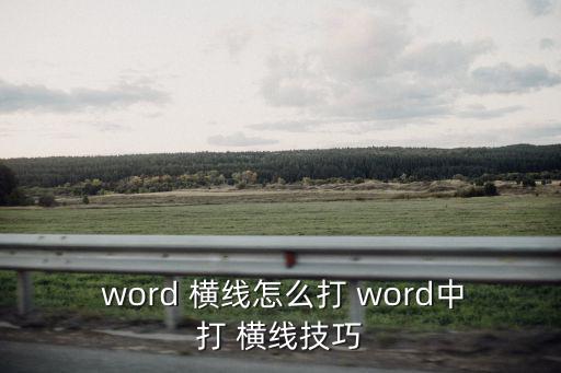 word橫線,word橫線如何繪制?