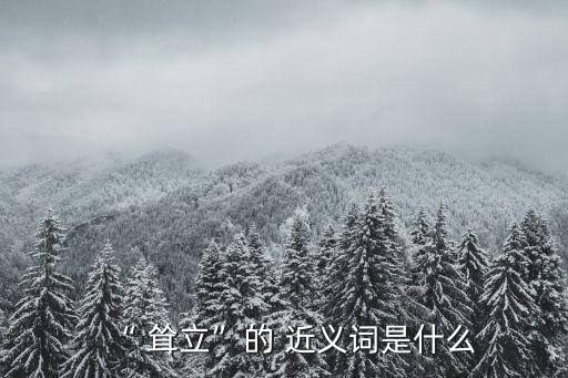 聳立的近義詞,第十九章:四周無柵欄只有一排樹在暗中若隱若現