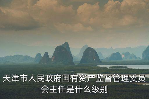 天津市人民政府國有資產監督管理委員會主任是什么級別