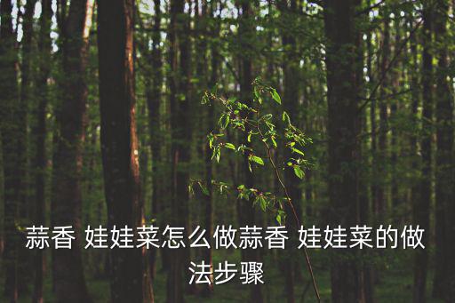 蒜蓉娃娃菜怎么做,精彩分享