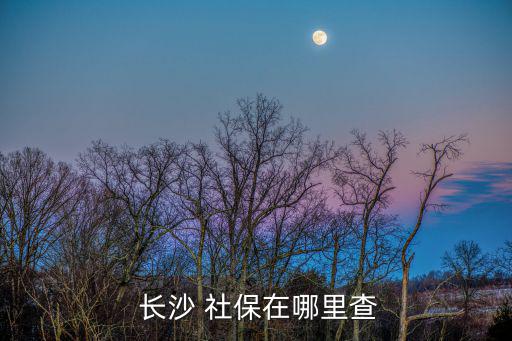 長沙社保局官網,社保局統一社會保險查詢電話:12333-2