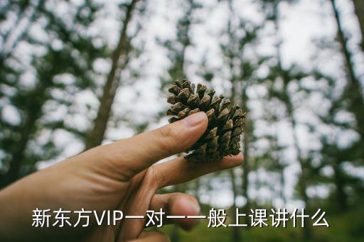 新東方VIP一對一一般上課講什么