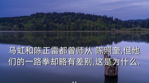 陳照奎,陳正雷與陳發(fā)科的關(guān)系是第九代與第十一代關(guān)系