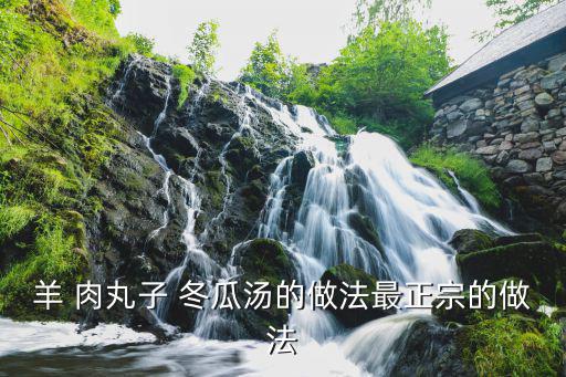 冬瓜肉丸湯的做法,冬瓜肉丸怎么做好?