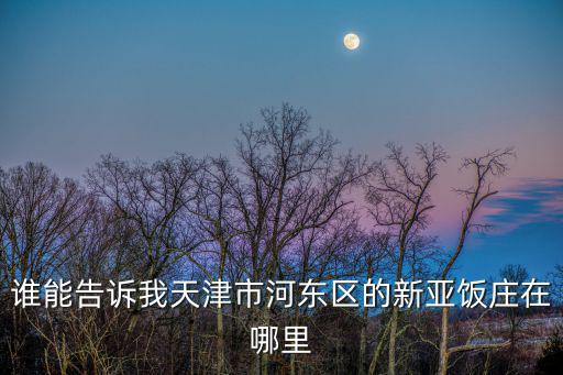 誰能告訴我天津市河東區(qū)的新亞飯莊在哪里
