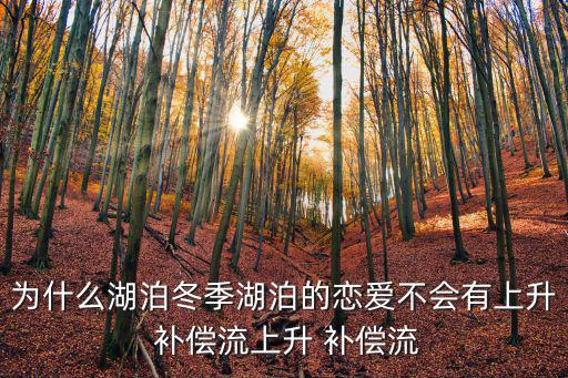 為什么湖泊冬季湖泊的戀愛(ài)不會(huì)有上升 補(bǔ)償流上升 補(bǔ)償流