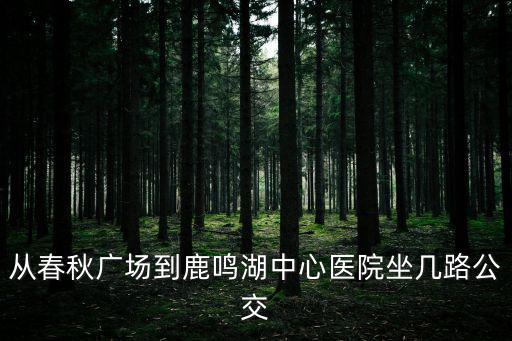從春秋廣場到鹿鳴湖中心醫院坐幾路公交
