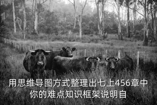 用思維導圖方式整理出七上456章中你的難點知識框架說明自