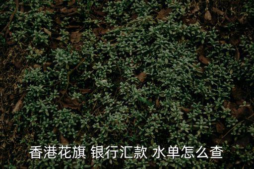 銀行水單,花旗香港銀行匯款外匯券標(biāo)有匯率變動