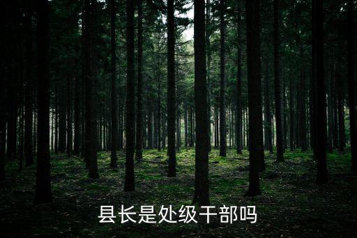 縣長是處級干部嗎