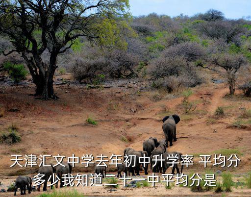 天津匯文中學去年初中升學率 平均分多少我知道二十一中平均分是
