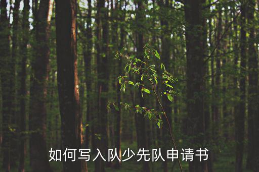 如何寫入隊少先隊申請書