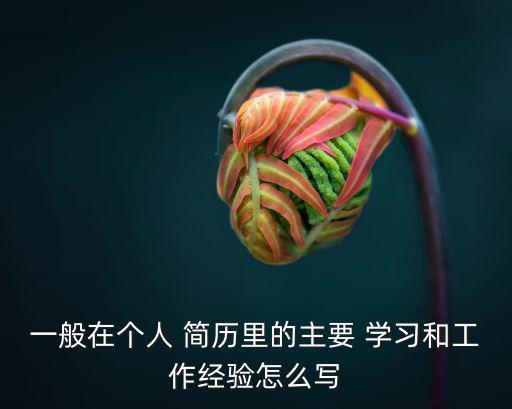 一般在個人 簡歷里的主要 學習和工作經驗怎么寫