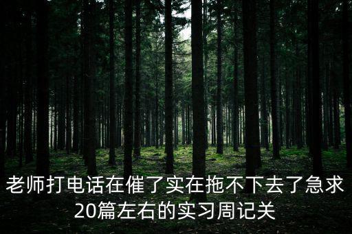 老師打電話在催了實在拖不下去了急求20篇左右的實習周記關