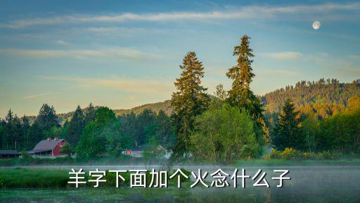 羊字下面加個火念什么子