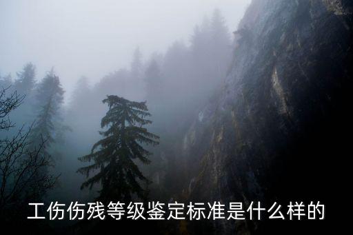 工傷等級鑒定標準，工傷等級鑒定標準