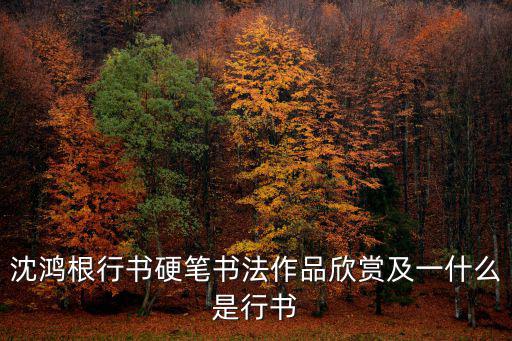沈鴻根行書硬筆書法作品欣賞及一什么是行書