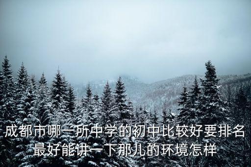 成都市哪一所中學(xué)的初中比較好要排名最好能講一下那兒的環(huán)境怎樣