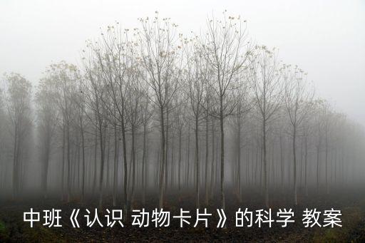 動物游戲之謎教案,幼兒園中班游戲教案1