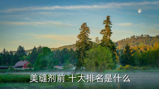 美縫劑十大品牌,美縫劑國內品牌暫時就這些了