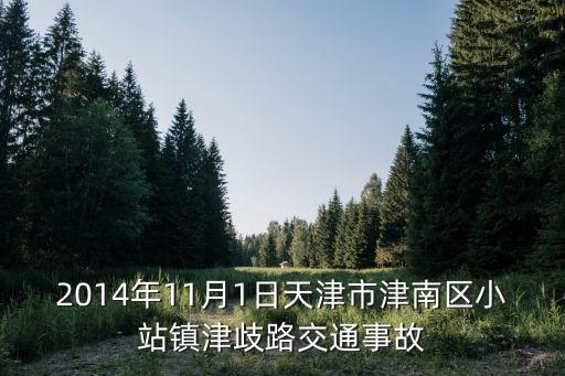 2014年11月1日天津市津南區(qū)小站鎮(zhèn)津歧路交通事故