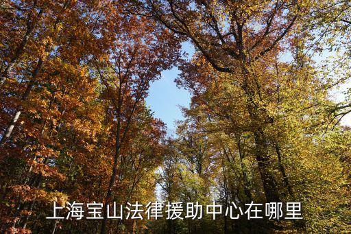 上海寶山法律援助中心在哪里